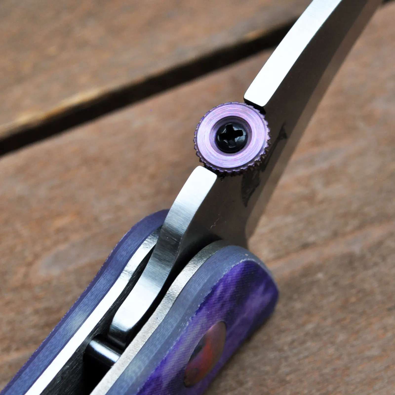 Elvia NW SF Purple Haze Bling - Image 3